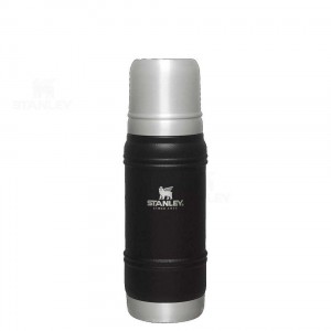 Stanley Artisan Thermal Bottle | 20 OZ Coffee & Tea | Nederland_S1840