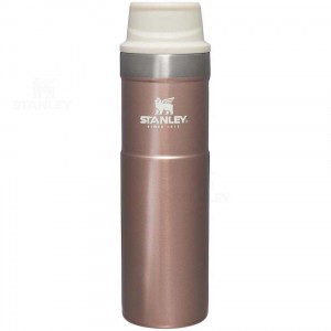 Stanley Classic Trigger-Action Travel | 20 OZ Mugs | Nederland_S2086