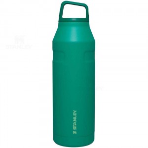 Stanley IceFlow™ AeroLight™ with Cap and Carry+ Lid | 50 OZ Waterflessen | Nederland_S1015