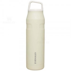 Stanley IceFlow™ AeroLight™ with Cap and Carry+ Lid | 36 OZ Waterflessen | Nederland_S1995