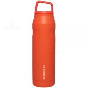 Stanley IceFlow™ AeroLight™ with Cap and Carry+ Lid | 36 OZ Waterflessen | Nederland_S1957