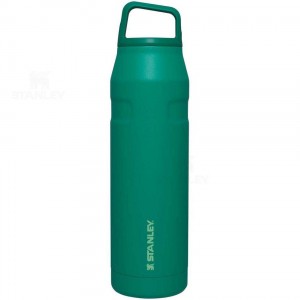 Stanley IceFlow™ AeroLight™ with Cap and Carry+ Lid | 36 OZ Waterflessen | Nederland_S1993