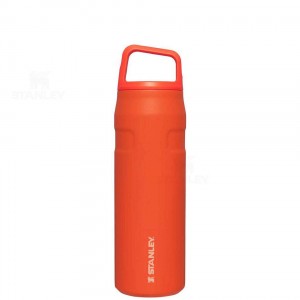Stanley IceFlow™ AeroLight™ with Cap and Carry+ Lid | 24 OZ Waterflessen | Nederland_S1634