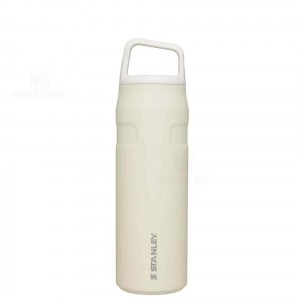 Stanley IceFlow™ AeroLight™ with Cap and Carry+ Lid | 24 OZ Waterflessen | Nederland_S1374