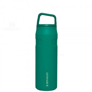 Stanley IceFlow™ AeroLight™ with Cap and Carry+ Lid | 24 OZ Waterflessen | Nederland_S1406