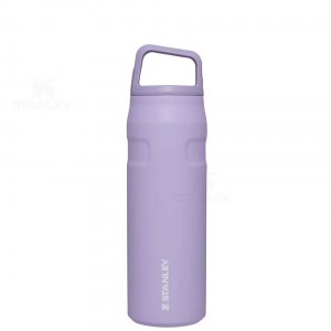 Stanley IceFlow™ AeroLight™ with Cap and Carry+ Lid | 24 OZ Waterflessen | Nederland_S2004