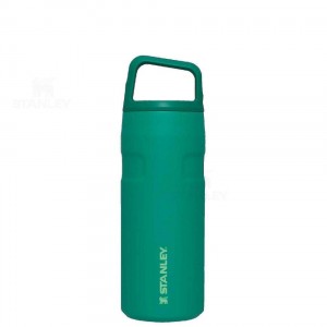 Stanley IceFlow™ AeroLight™ with Cap and Carry+ Lid | 16 OZ Waterflessen | Nederland_S1756