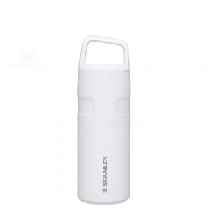Stanley IceFlow™ AeroLight™ with Cap and Carry+ Lid | 16 OZ Waterflessen | Nederland_S1790