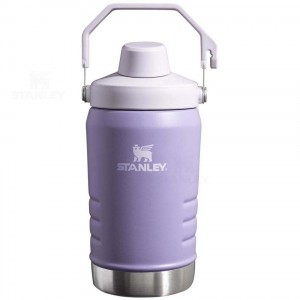 Stanley IceFlow™ Jug with Fast Flow Lid | 40 OZ Waterflessen | Nederland_S1600