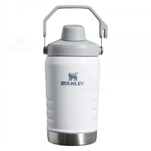 Stanley IceFlow™ Jug with Fast Flow Lid | 40 OZ Waterflessen | Nederland_S1058
