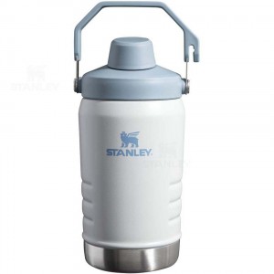 Stanley IceFlow™ Jug with Fast Flow Lid | 40 OZ Waterflessen | Nederland_S1949