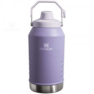Stanley IceFlow™ Jug with Fast Flow Lid | 96 OZ Waterflessen | Nederland_S2289
