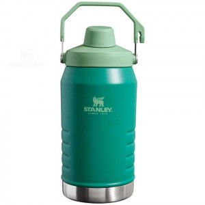 Stanley IceFlow™ Jug with Fast Flow Lid | 64 OZ Waterflessen | Nederland_S1025