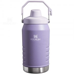 Stanley IceFlow™ Jug with Fast Flow Lid | 64 OZ Waterflessen | Nederland_S2322