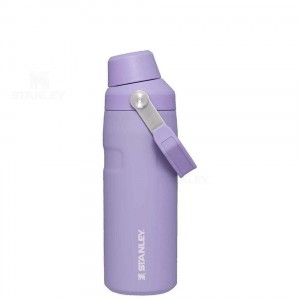 Stanley IceFlow™ with Fast Flow Lid | 16 OZ Waterflessen | Nederland_S1323