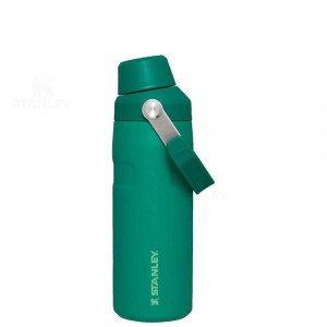 Stanley IceFlow™ with Fast Flow Lid | 16 OZ Waterflessen | Nederland_S2272