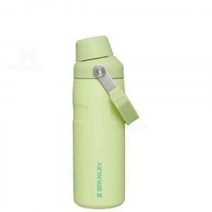 Stanley IceFlow™ with Fast Flow Lid | 16 OZ Waterflessen | Nederland_S2136