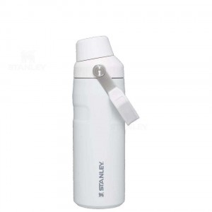 Stanley IceFlow™ with Fast Flow Lid | 16 OZ Waterflessen | Nederland_S1594