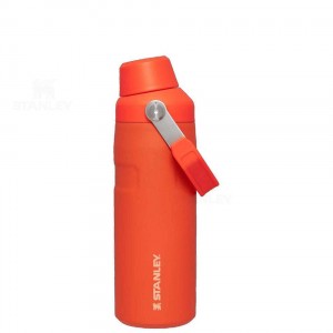 Stanley IceFlow™ with Fast Flow Lid | 16 OZ Waterflessen | Nederland_S1347
