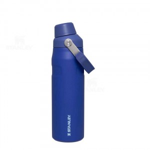 Stanley IceFlow™ with Fast Flow Lid | 24 OZ Waterflessen | Nederland_S1329