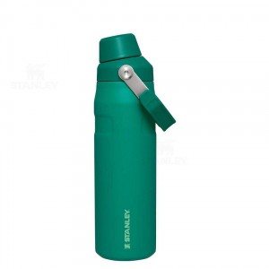 Stanley IceFlow™ with Fast Flow Lid | 24 OZ Waterflessen | Nederland_S1020
