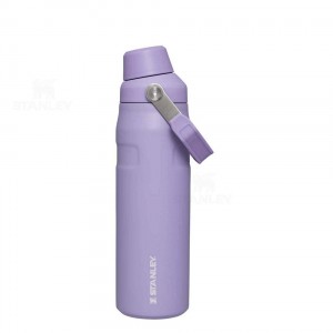 Stanley IceFlow™ with Fast Flow Lid | 24 OZ Waterflessen | Nederland_S2223