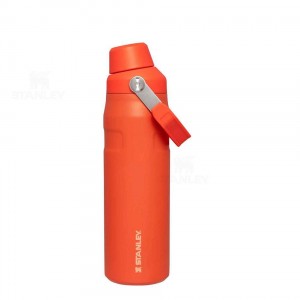 Stanley IceFlow™ with Fast Flow Lid | 24 OZ Waterflessen | Nederland_S1197