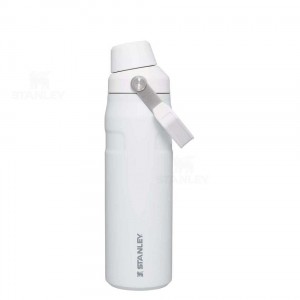 Stanley IceFlow™ with Fast Flow Lid | 24 OZ Waterflessen | Nederland_S1370
