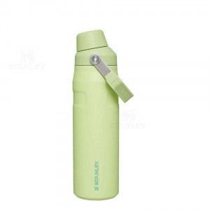 Stanley IceFlow™ with Fast Flow Lid | 24 OZ Waterflessen | Nederland_S1805