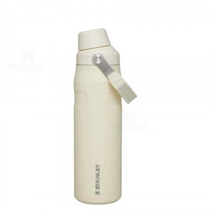 Stanley IceFlow™ with Fast Flow Lid | 24 OZ Waterflessen | Nederland_S2365