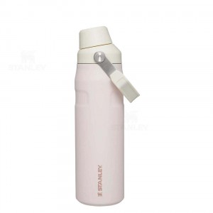 Stanley IceFlow™ with Fast Flow Lid | 24 OZ Waterflessen | Nederland_S1311