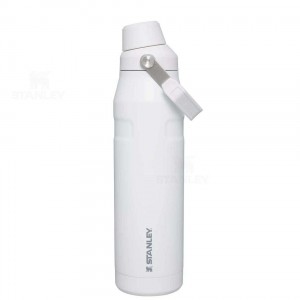 Stanley IceFlow™ with Fast Flow Lid | 36 OZ Waterflessen | Nederland_S1082