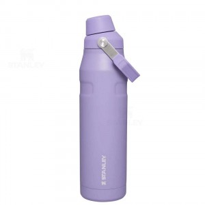 Stanley IceFlow™ with Fast Flow Lid | 36 OZ Waterflessen | Nederland_S1255