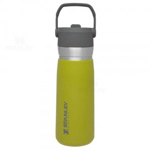 Stanley The Go Flip Straw | 22 OZ Tumblers | Nederland_S1342