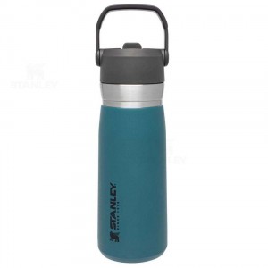 Stanley The Go Flip Straw | 22 OZ Tumblers | Nederland_S1740