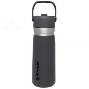 Stanley The Go Flip Straw | 22 OZ Tumblers | Nederland_S1847