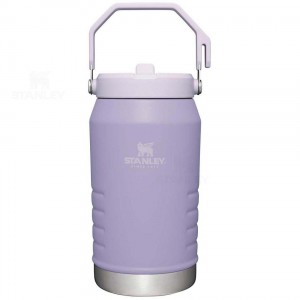 Stanley The IceFlow Flip Straw Jug | 64 OZ Waterflessen | Nederland_S1109