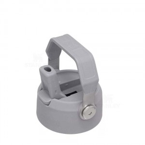 Stanley The IceFlow Flip Straw Water Bottle Lid | 17 OZ to 22 OZ Accessoires | Nederland_S2368