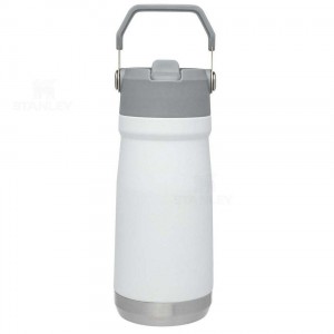 Stanley The IceFlow Flip Straw | 17 OZ Tumblers | Nederland_S2175