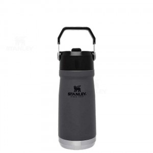 Stanley The IceFlow Flip Straw | 17 OZ Tumblers | Nederland_S1670
