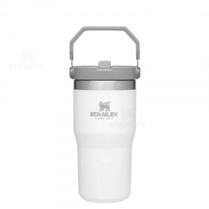 Stanley The IceFlow Flip Straw | 20 OZ Tumblers | Nederland_S2209