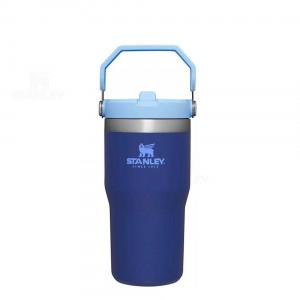 Stanley The IceFlow Flip Straw | 20 OZ Tumblers | Nederland_S1359