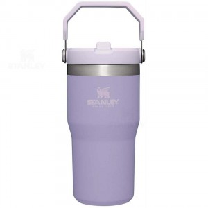 Stanley The IceFlow Flip Straw | 20 OZ Tumblers | Nederland_S2200