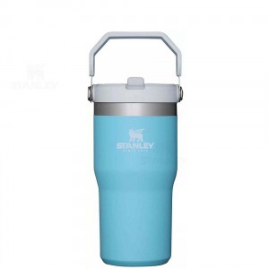 Stanley The IceFlow Flip Straw | 20 OZ Tumblers | Nederland_S1135