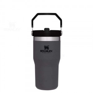 Stanley The IceFlow Flip Straw | 20 OZ Tumblers | Nederland_S2258