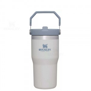 Stanley The IceFlow Flip Straw | 20 OZ Tumblers | Nederland_S1696