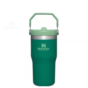 Stanley The IceFlow Flip Straw | 20 OZ Tumblers | Nederland_S1209