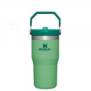 Stanley The IceFlow Flip Straw | 20 OZ Tumblers | Nederland_S2370