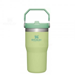 Stanley The IceFlow Flip Straw | 20 OZ Tumblers | Nederland_S2168