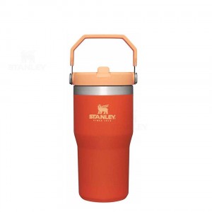 Stanley The IceFlow Flip Straw | 20 OZ Tumblers | Nederland_S1478